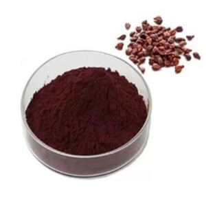 Grape Seed Extract