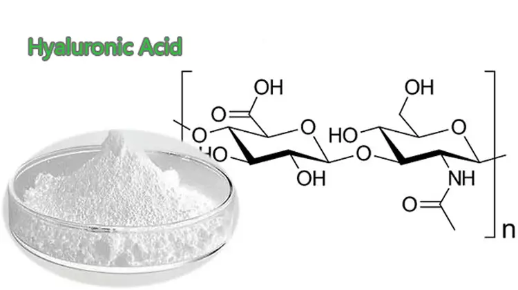 Hyaluronic Acid