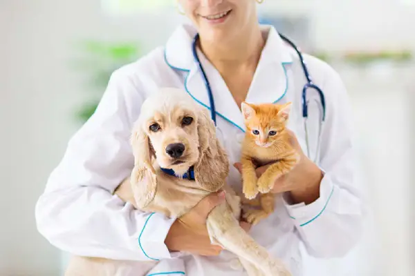 Thioctic acid for ​Pet health care