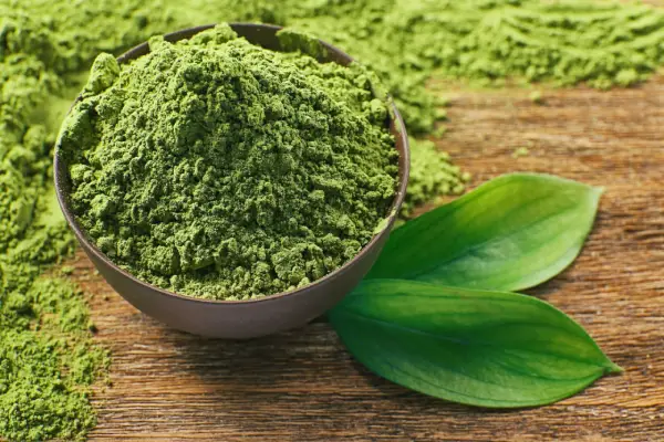 Green Tea Extract