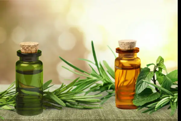 Tea tree essential oil